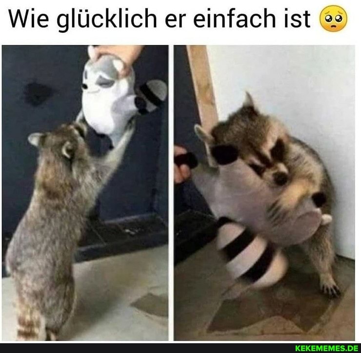 Wie glücklich er einfach ist
