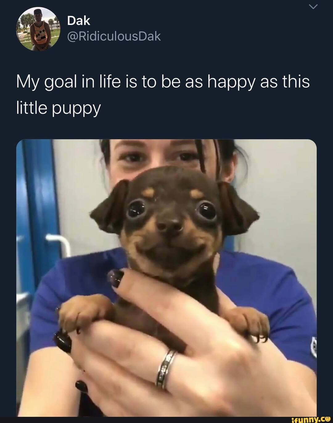 Happy Puppies Ifunny