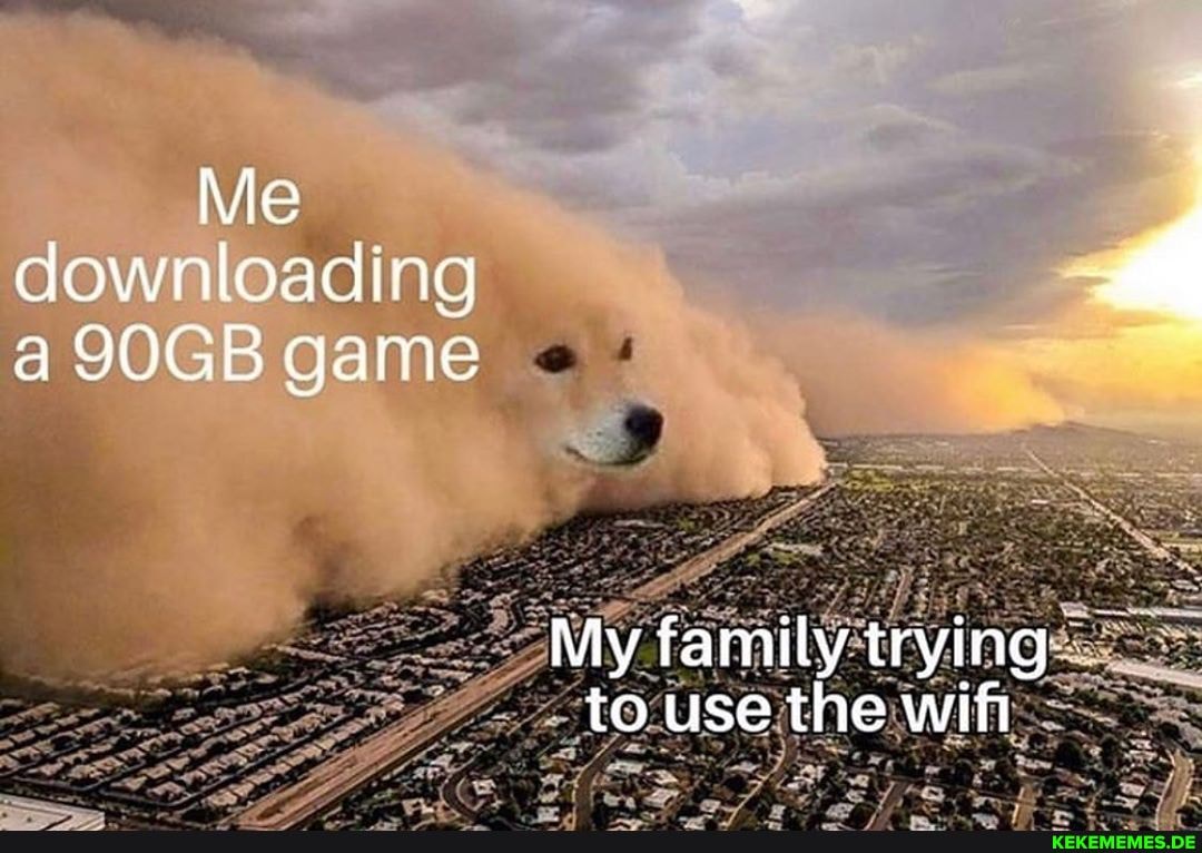 Me downloading a 90GB game
My family trying to use the wif