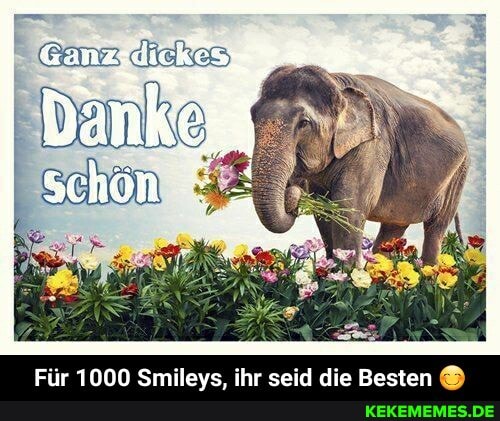 dies
Für 1000 Smileys, ihr seid die Besten - Für 1000 Smileys, ihr seid die Besten 😊