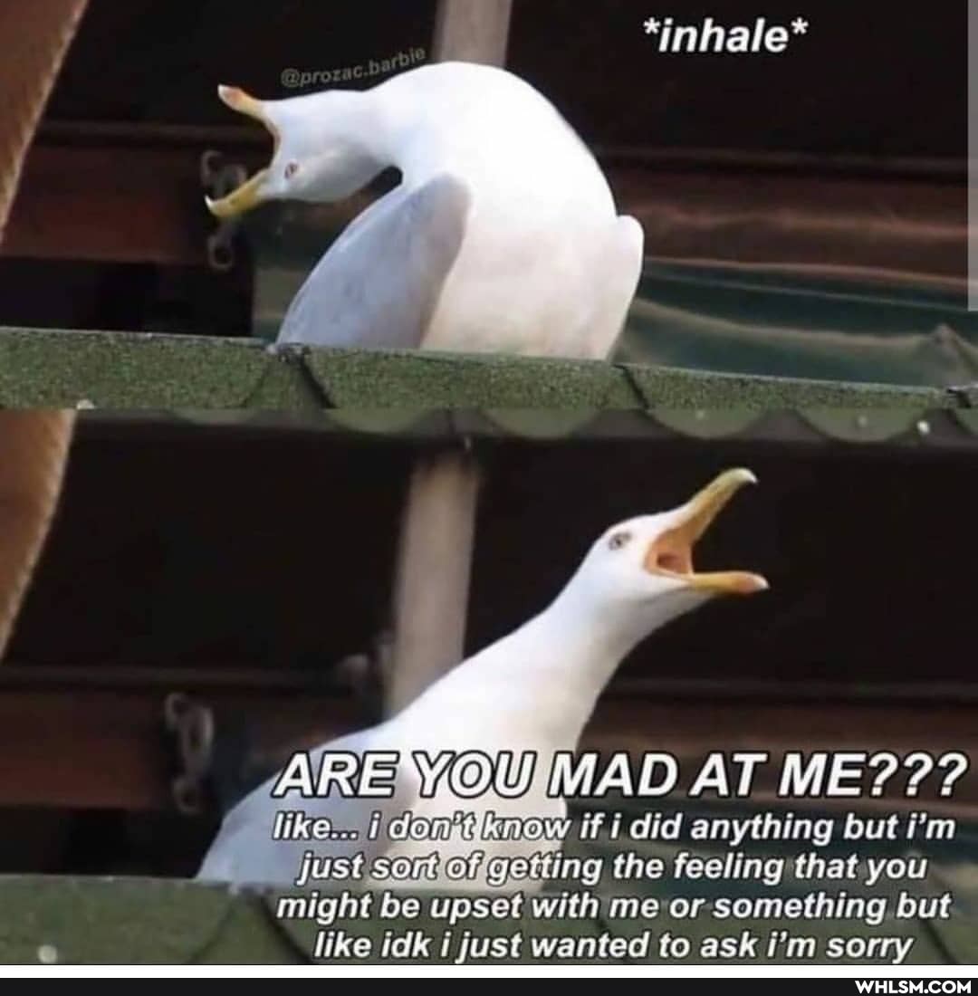 *inhale*
vikesmiidamnknaw if i did anything but i'm
just of gotiing the feeling that you
might be upset with me or something but like idk i just wanted to ask i'm sorry
YOU MAD AT ME???