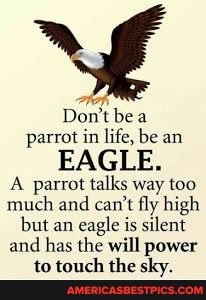 Don't be parrot in life, be an
EAGLE.
A parrot talks way too much and can't fly high but an eagle is silent and has the will power to touch the sky.