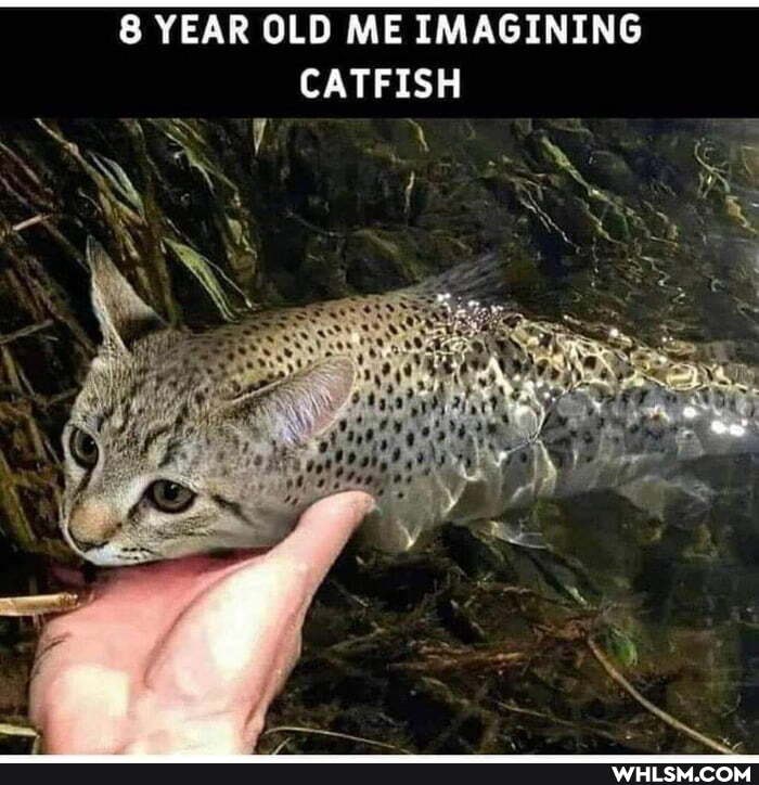 8 YEAR OLD ME IMAGINING CATFISH