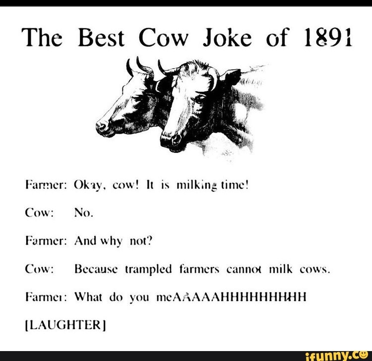 Funny Cow Jokes