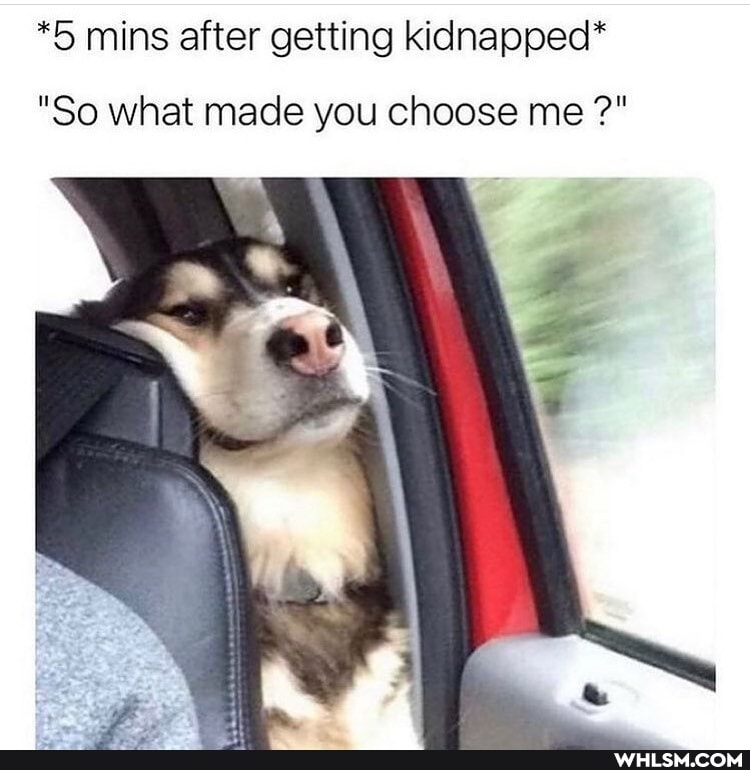 *5 mins after getting kidnapped*
"So what made you choose me