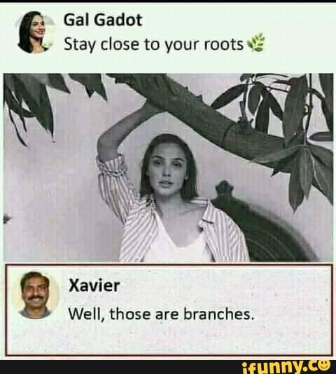 Gal Gadot
Stay close to your roots
Xavier
Well, those are branches.