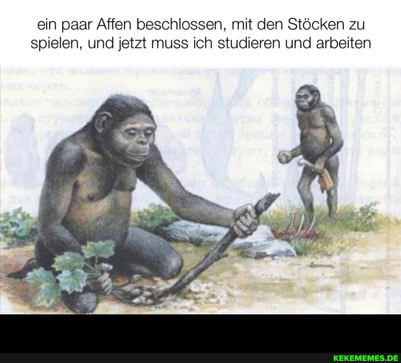 ein paar Affen beschlossen, mit den Stöcken zu spielen, und jetzt muss ich studieren und arbeiten -