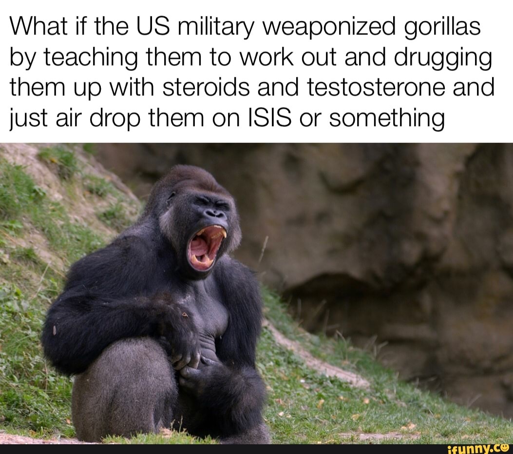 gorilla on steroids