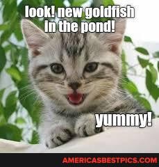 Look! new
Inthe nond!
yummy!