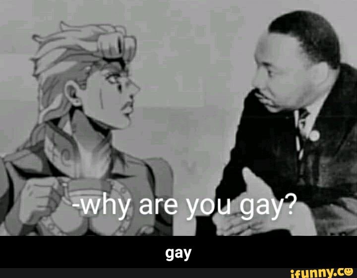 -why are you gay?
gay - gay