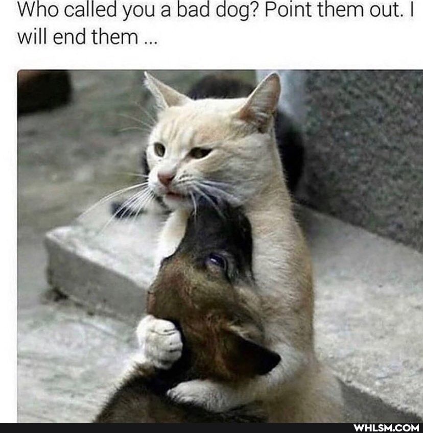 Who callee you a cog? Point them out. I
will end them
AN,