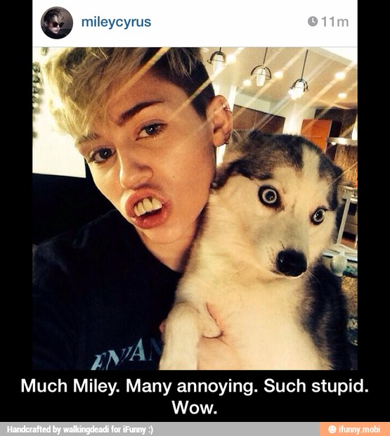 S mileycyrus
una
Much Miley. Many annoying. Such stupid.
Wow. - Much Miley. Many annoying. Such stupid. Wow.