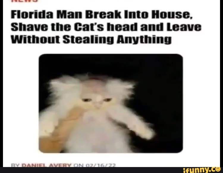 florida-man-break-into-house-shave-the-cat-s-head-and-leave-without