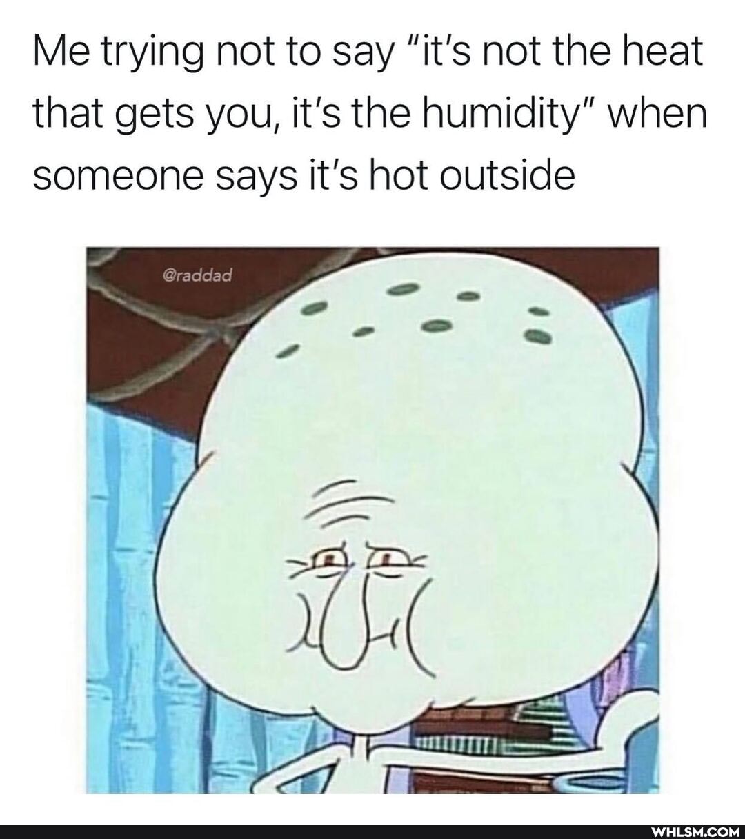 Me trying not to say "it's not the heat that gets you, it's the humidity" when someone says it's hot outside
@raddad