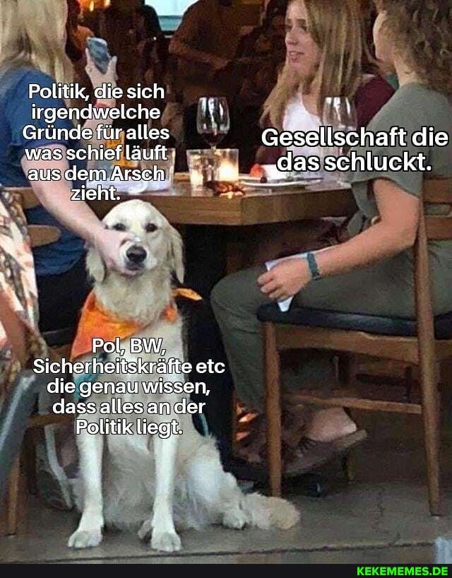 Politik, die sich , irgendwelche
Gründe für alles Gesellschaft die was schief läuft
ausdemArsch "gas schluckt.
zieht.
Pol, BW,
Sicherheitskräfte etc die genau wissen, dass alles ander
Politik liegt.