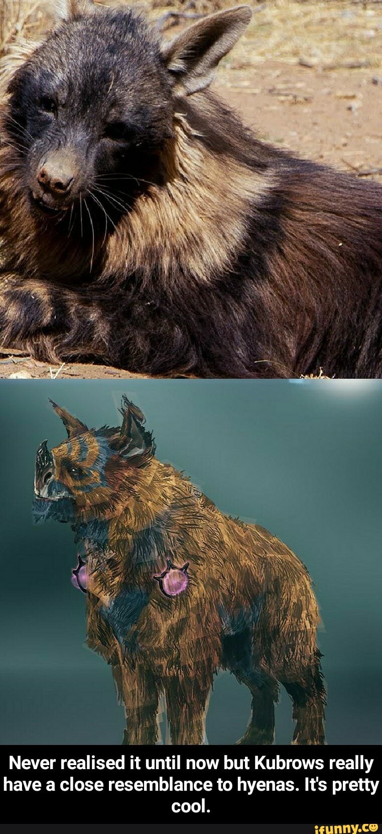 Never realised it until now but Kubrows really have a close resemblance to hyenas. It's pretty cool.