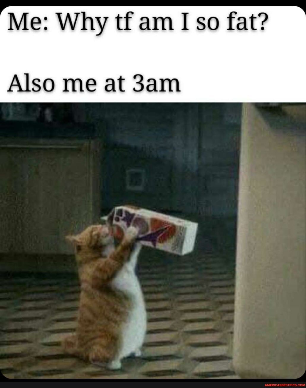 Me: Why tf am I so fat?
Also me at 3amn