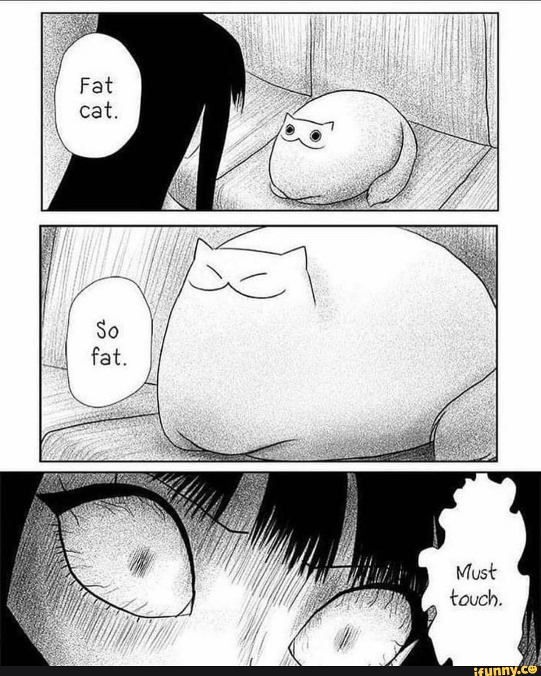 Fat
cat.
So
fat
CH
fy
Must
touch