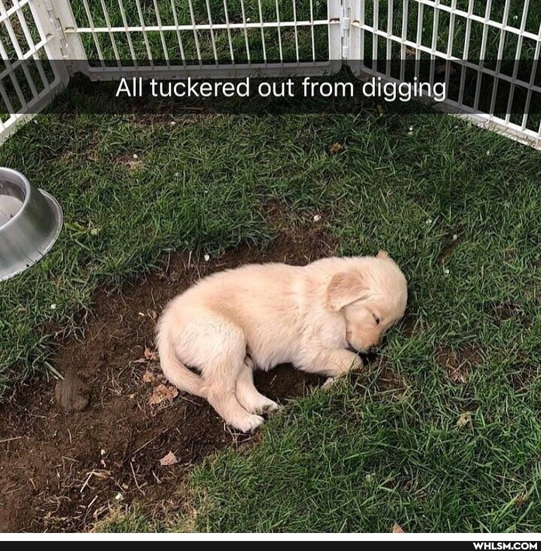 All tuckered out from cigging