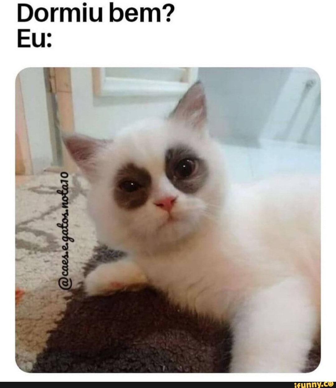 Dormiu bem?
Eu: