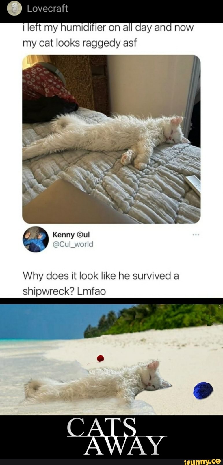 Dismayedroman memes. Best Collection of funny Dismayedroman pictures on