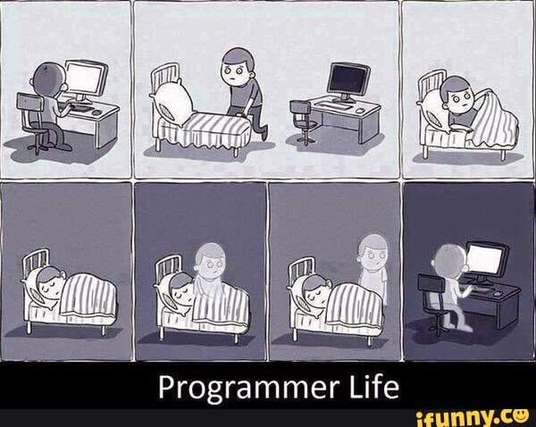 Programmer
Life