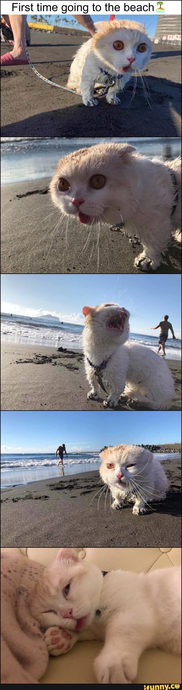First time going to beach