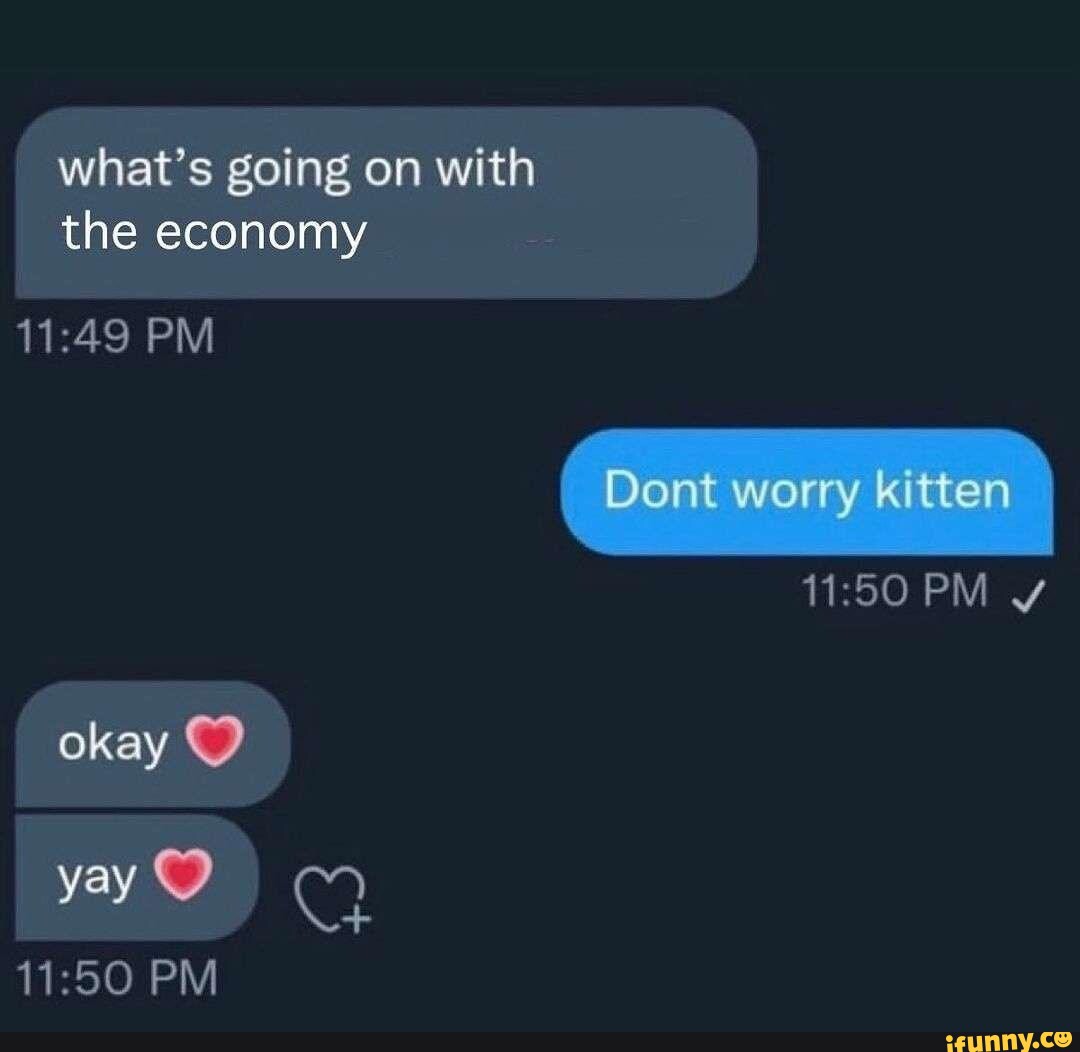 what-s-going-on-with-the-economy-pm-dont-worry-kitten-pm-okay-yay-pm