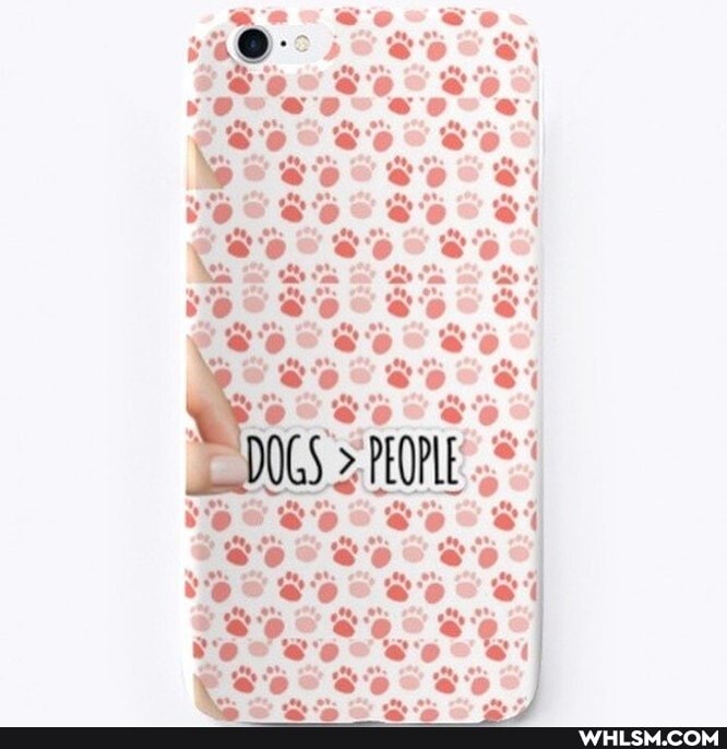of
SO
\ &
DOGS
