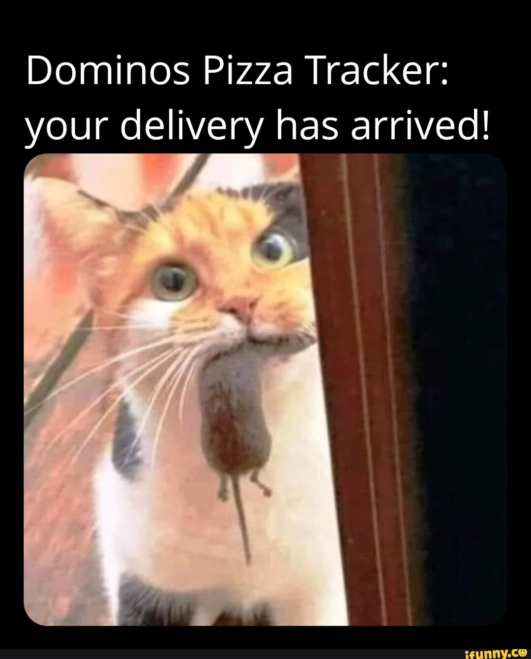 Dominos Pizza Tracker your delivery has arrived! ff iFunny