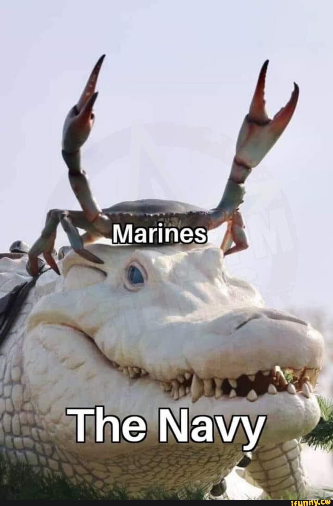 A
o
the
The'Navy