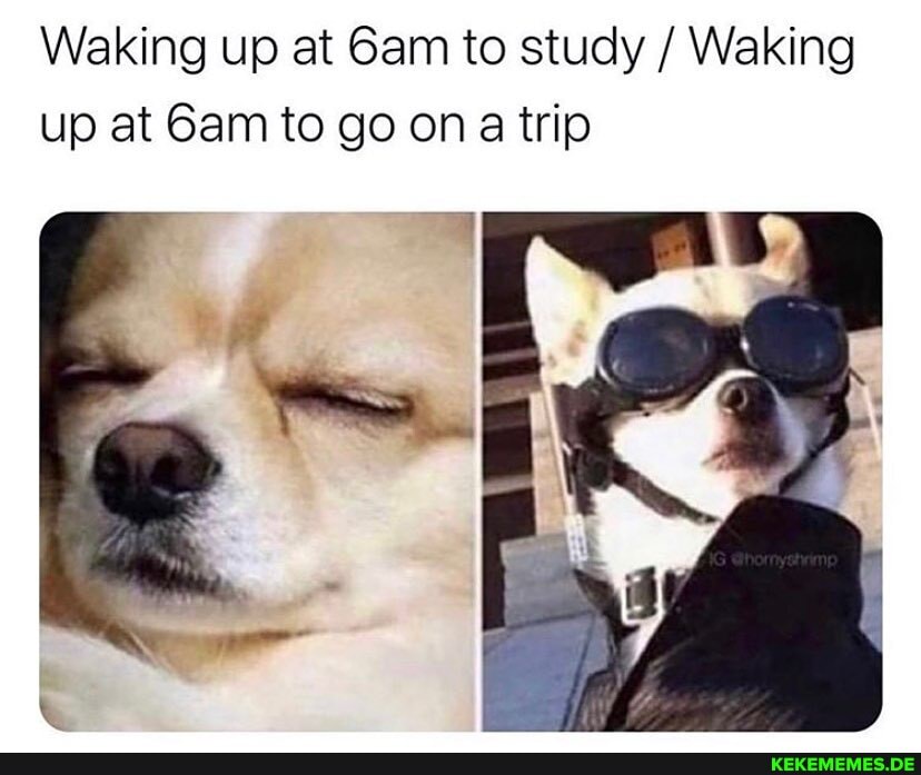Waking up at Gam to study / Waking up at Gam to go on a trip