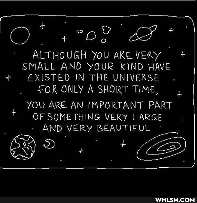 C) Os
ALTHOUGH YOU ARE VERY +
SMALL AND youR KIND HAVE
+ EXISTED IN THE UNIVERSE FOR ONLY A SHORT TIME,
YOU ARE AN IMPORTANT PART OF SOMETHING VERY LARGE BEAUTIFUL