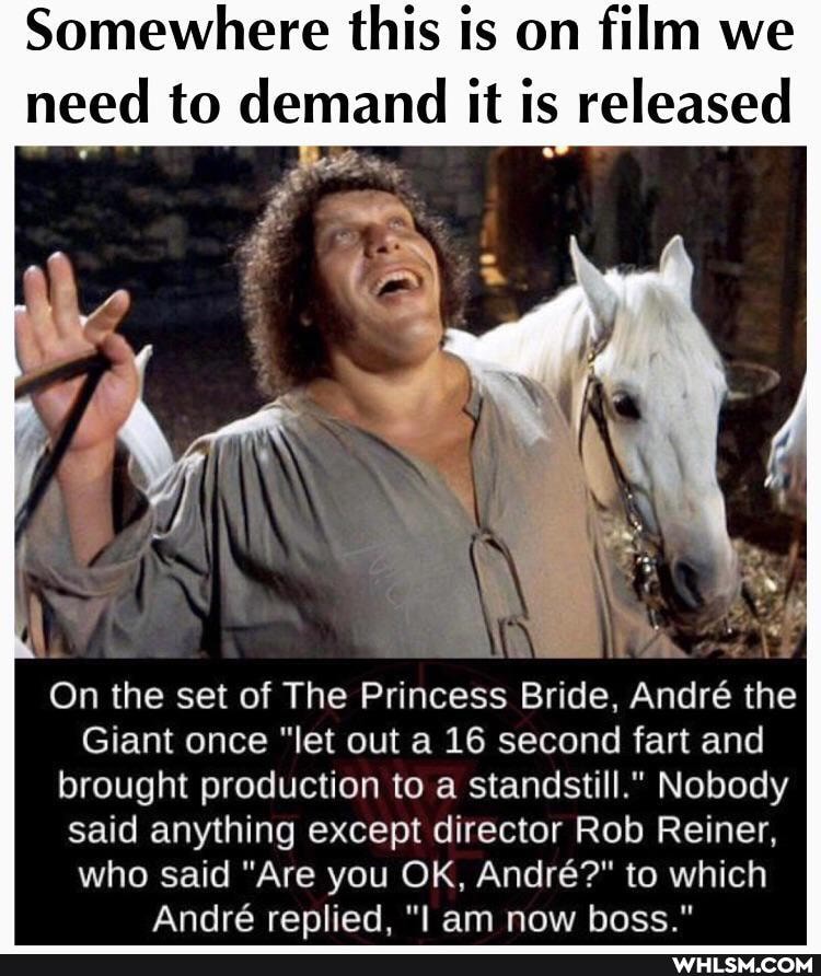 Somewhere this is on film we need to demand it is released
On the set of The Princess Bride, Andr the
Giant once "let out a 16 second fart and brought production to a standstill." Nobody said anything except director Rob Reiner, who said "Are you OK, Andr?" to which
Andre replied. "I am now boss."