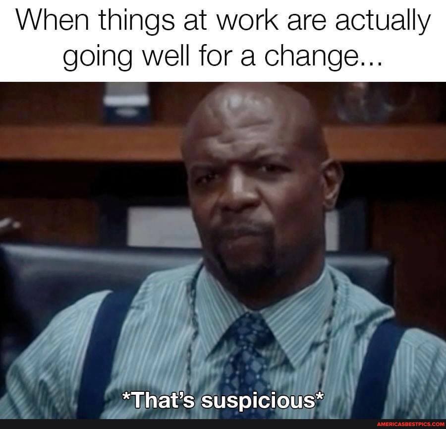 When things at work are actually
going well for a change...