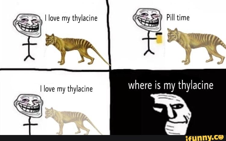 Thylacine Memes Best Collection Of Funny Thylacine Pictures On Ifunny 