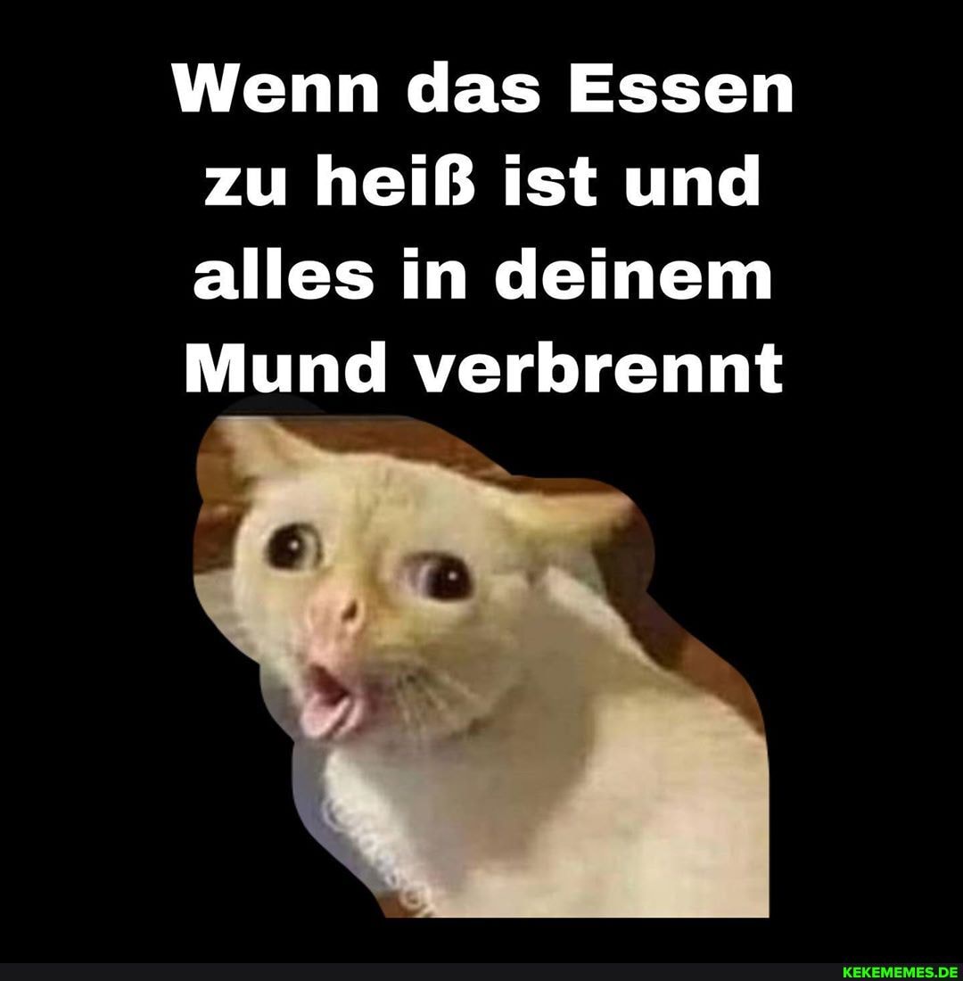 Wenn das Essen zu heiß ist und alles in deinem
Mund verbrennt