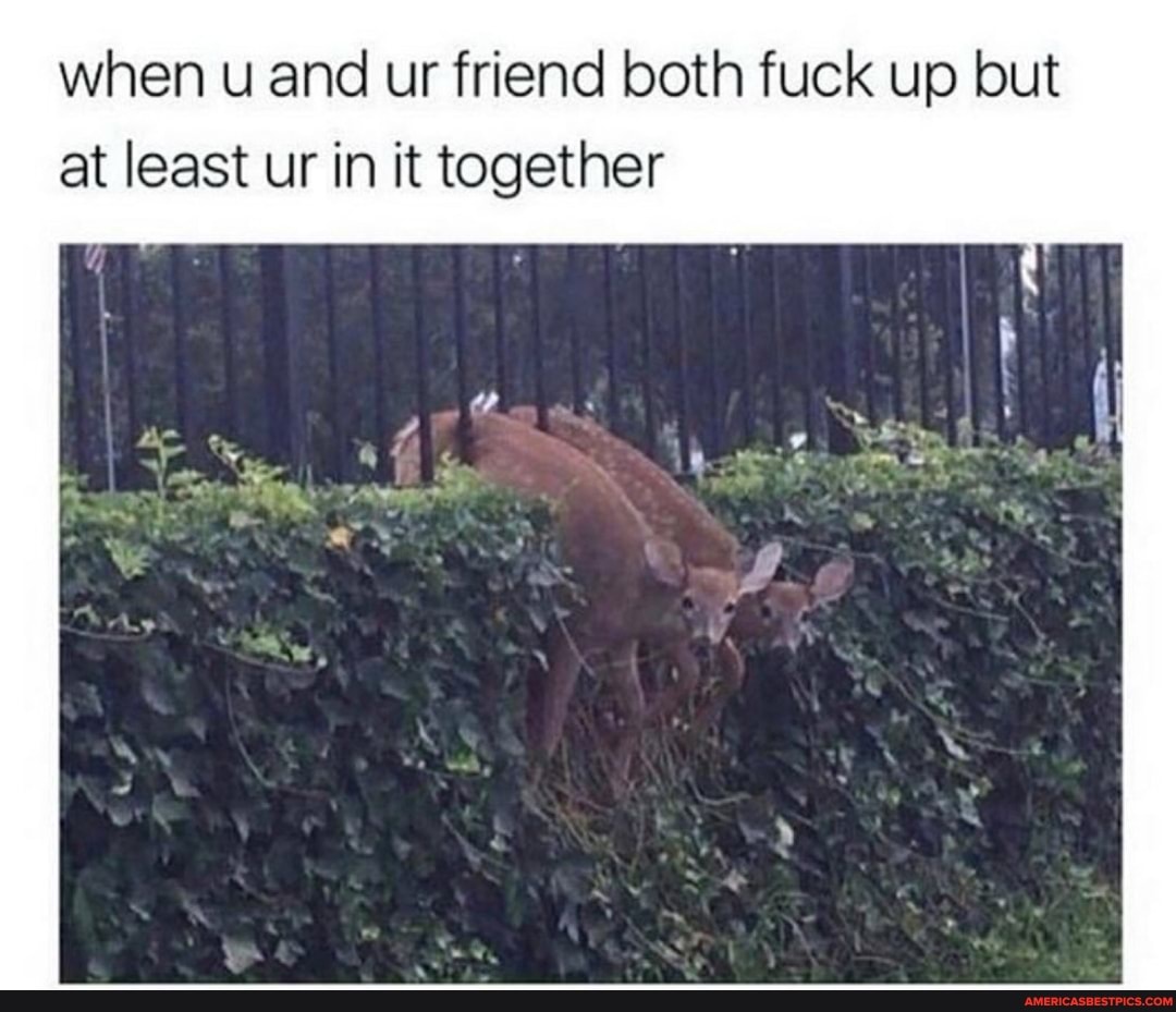 when u and ur friend both fuck up but at least ur in it together