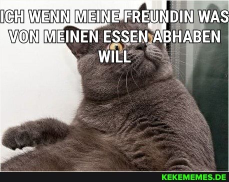 WERIN MEINE FREUNDIN WAS EINEN ESSENIA