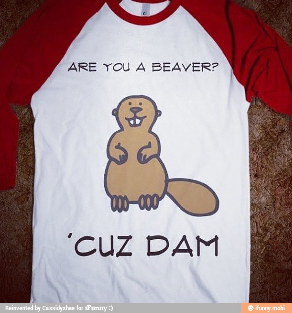 ARE YOU A BEAVER? 'CUZ DAM - )