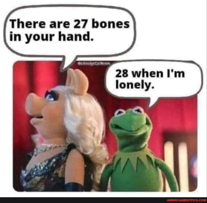 There are 27 bones in your hand.
28 when I'm lonely.