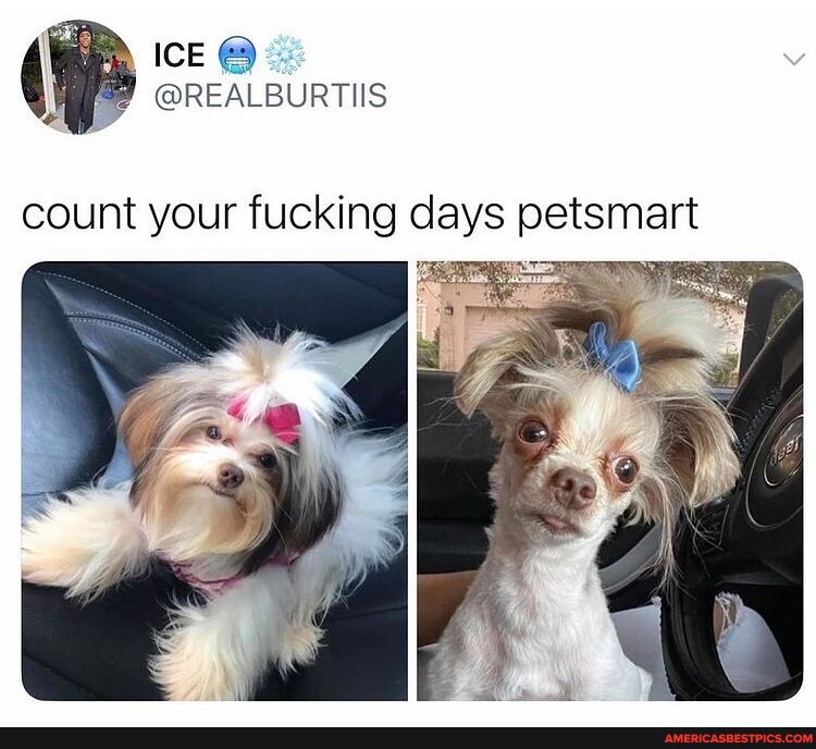 IcE
@REALBURTIIS
count your fucking days petsmart