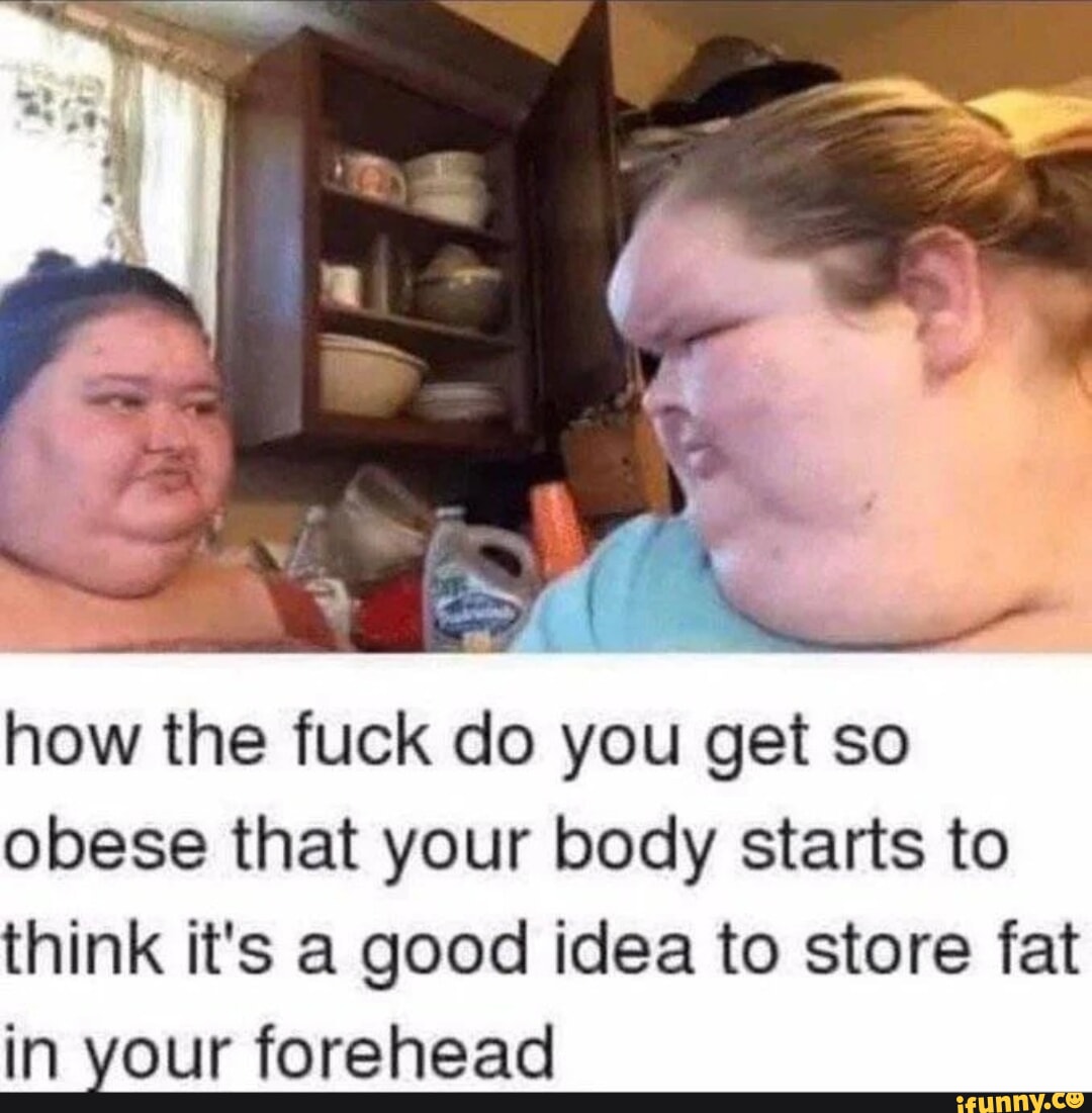 Fatmeme memes. Best Collection of funny Fatmeme pictures on iFunny
