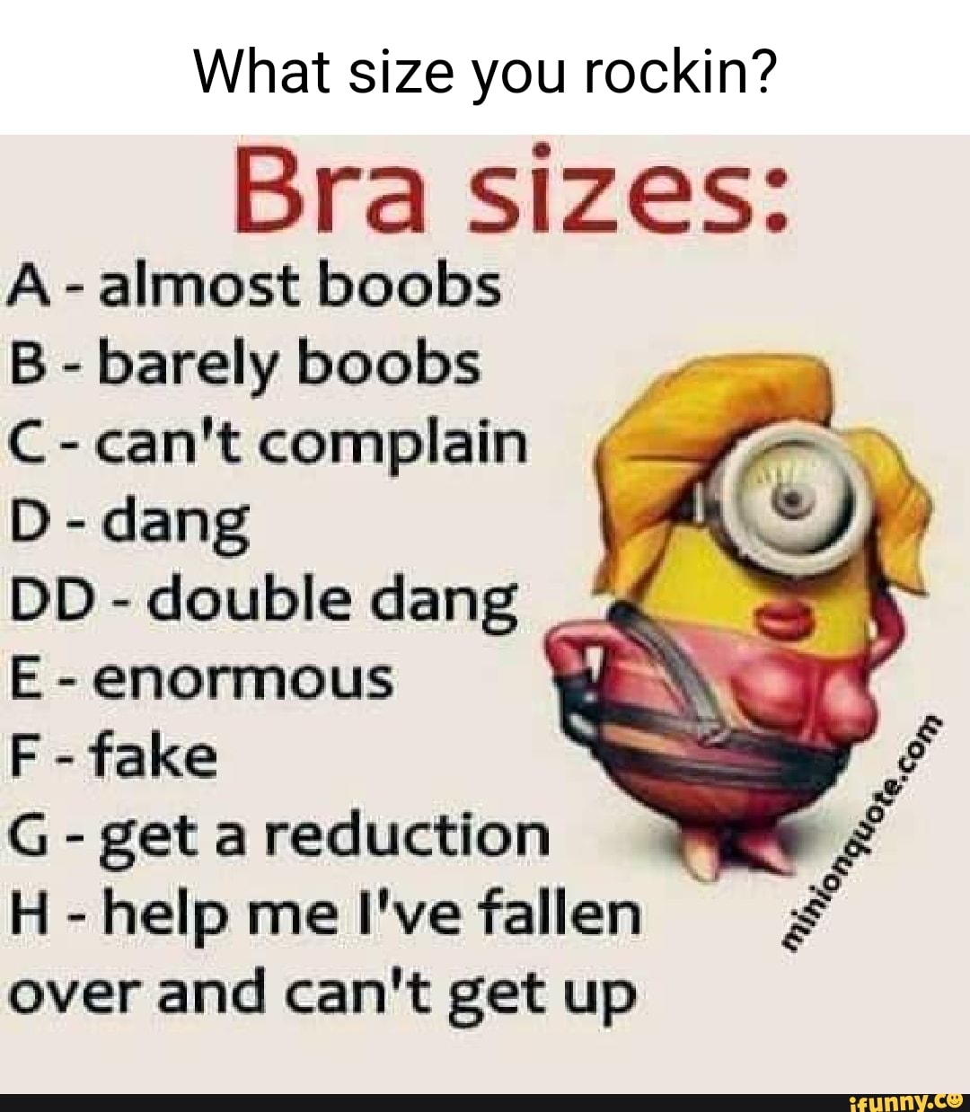 BRA Sizes A almost boobs B barely boobs C can't complain D dang DD double