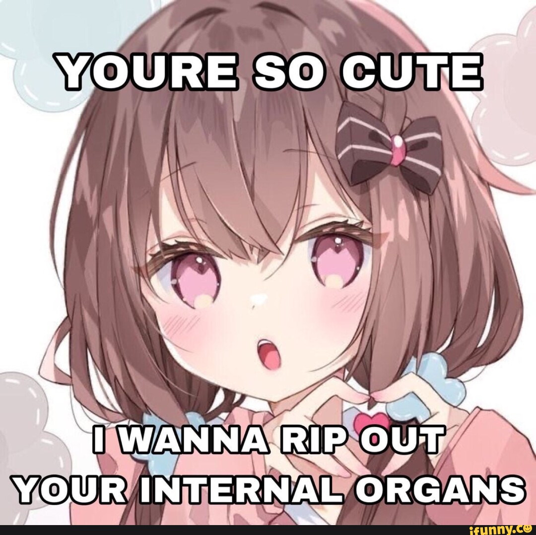 VOOURE SO CUTE WANNA, RIP OUT YOUR INTERNAL ORGANS - iFunny