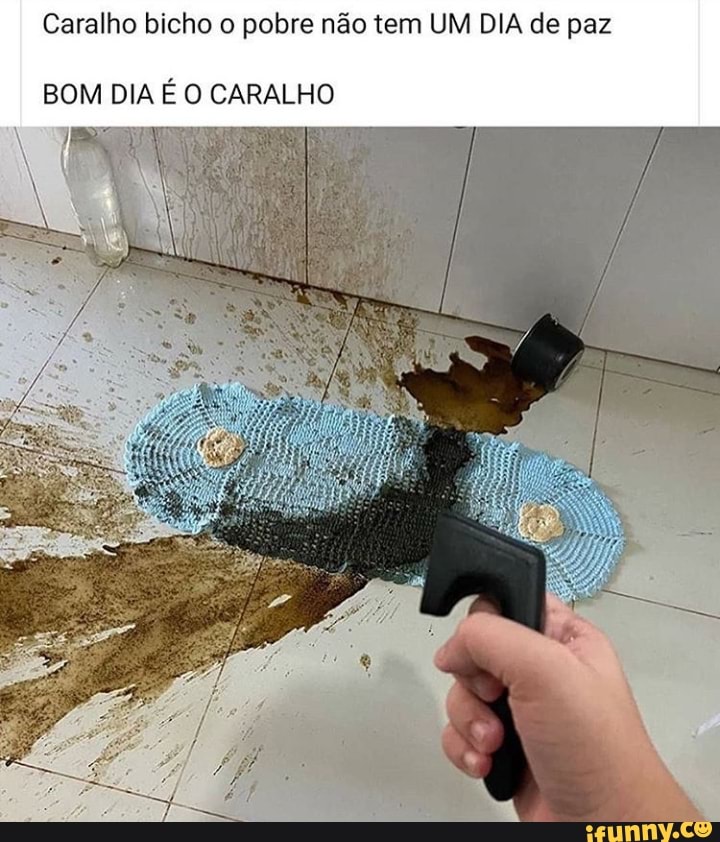 Caralho bicho o pobre não tem UM DIA de paz
BOM DIA É O CARALHO