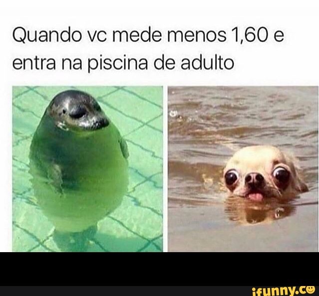 Quando vc mede menos 1,60 e
entra na piscina de adulto -