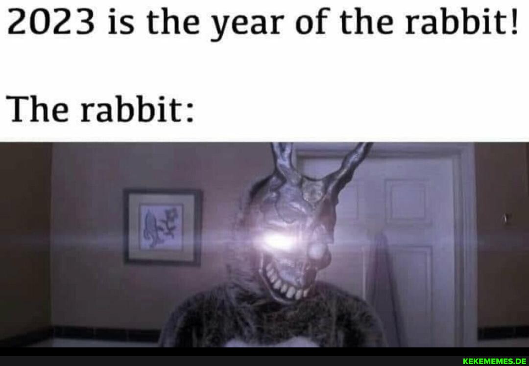 2023 is the year of the rabbit! The rabbit: