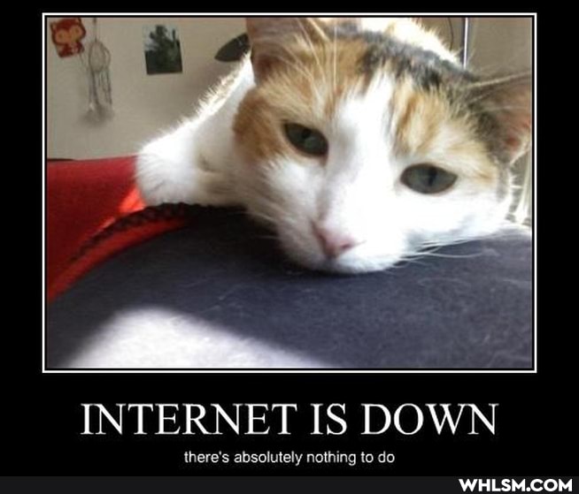 INTERNET IS DOWN
