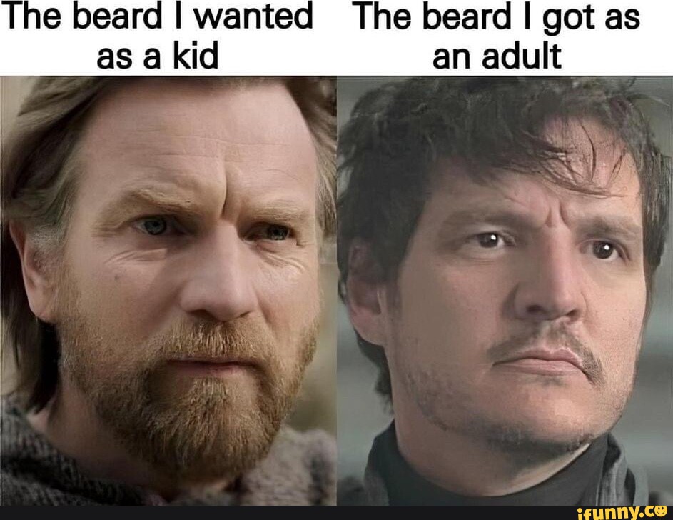 The beard I wanted The beard I got as as a kid an adult_ - iFunny